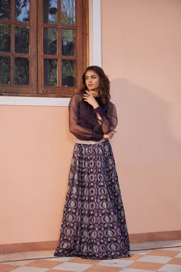 Mayur Pankh Pleated Skirt with Organza Top - Set of 2